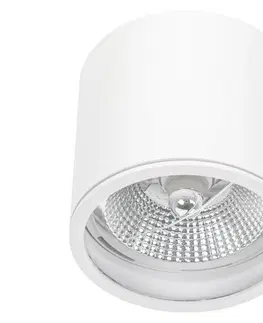 Svietidlá  Kúpeľňové bodové svietidlo CHLOE AR111 1xGU10/50W/230V IP65 okrúhly biela 