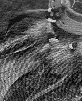 Čiernobiele obrazy Obraz lapač snov v čiernobielom prevedení
