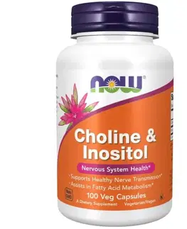 Nootropiká a mozog Now Cholin & Inositol 500 mg 100 kapsúl