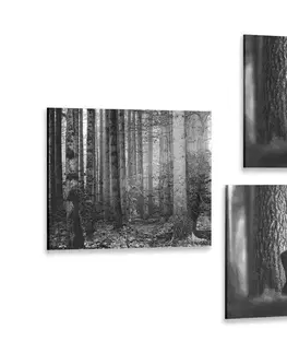 Zostavy obrazov Set obrazov lesné zvieratá v čiernobielom prevedení