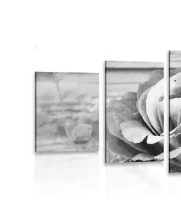 Čiernobiele obrazy 5-dielny obraz elegantná vintage ruža v čiernobielom prevedení