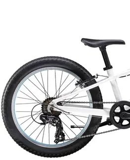 Bicykle Trek Precaliber 20 7sp Girls 20 inch. wheel