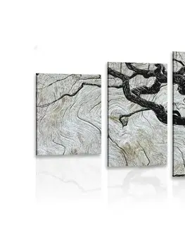 Obrazy stromy a listy 5-dielny obraz abstraktný strom na dreve