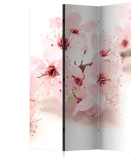 Paravány Paraván Cherry Blossom Dekorhome 135x172 cm (3-dielny)