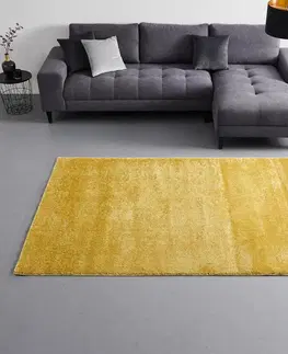 Hladko tkané koberce Tkaný koberec Rubin 2 Neu, Š/d: 120/170cm