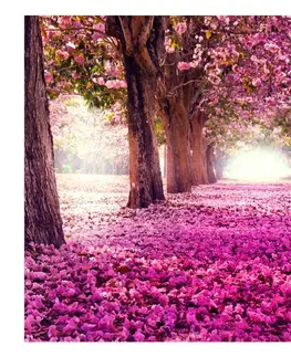 Tapety Samolepiaca tapeta ružový park - Pink path