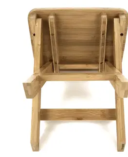 Jedálenské stoličky a kreslá Skladacia stolička DENICE Tempo Kondela