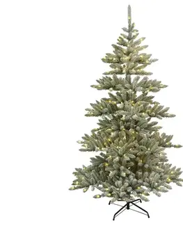 Vianočné dekorácie Eglo Eglo 410872 - LED Vianočný stromček ARVIKA 210 cm 320xLED/0,018W/30/230V IP44 