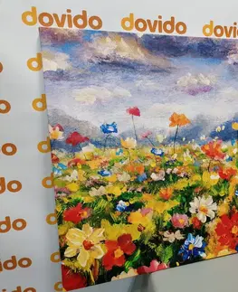 Obrazy kvetov Obraz olejomaľba divoké kvety