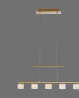 Závesné svietidlá Paul Neuhaus LED závesné svietidlo Hydra, 5-plameňové, mosadzná