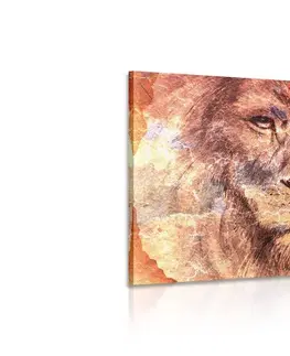 Obrazy zvierat Obraz tvár leva