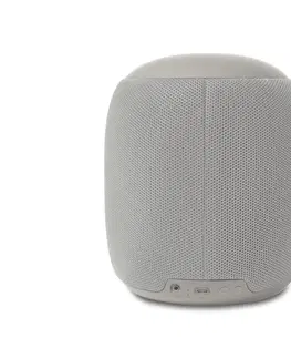 Speakers Dizajnový reproduktor s Bluetooth®, L, sivý