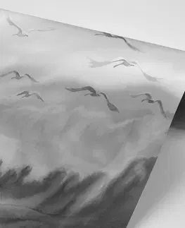 Čiernobiele tapety Tapeta prelet vtákov v čiernobielom prevedení
