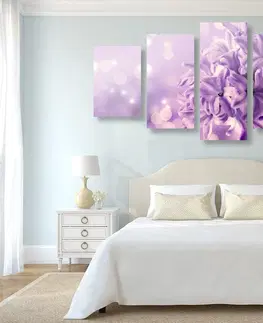 Obrazy kvetov 5-dielny obraz fialový kvet orgovánu
