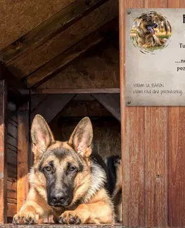 Tabuľky s venovaním (darčeky) Obraz na stenu - Tabuľka nad pelech pre psa