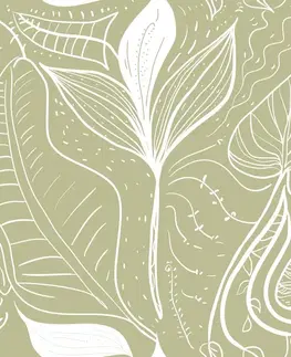 Tapety príroda Tapeta magické listy v zelenom prevedení