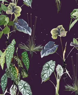 Samolepiace tapety Samolepiaca tapeta rastliny na nočnej oblohe