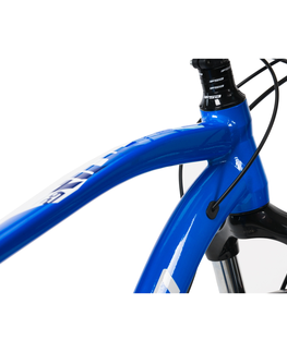 Bicykle Horský bicykel Devron Riddle Man 2.9 29" 221RM Glossy Blue - 19" (180-192 cm)
