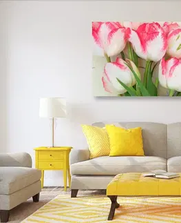 Obrazy kvetov Obraz tulipány v jarnom nádychu