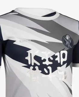 dresy Detský futbalový dres s krátkym rukávom Vlk sivo-modrý