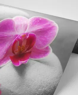 Samolepiace tapety Samolepiaca fototapeta kvety orchidey na kameňoch