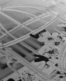 Čiernobiele obrazy Obraz romantické zátišie vo vintage štýle v čiernobielom prevedení