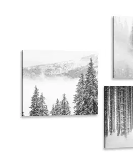 Zostavy obrazov Set obrazov vlk v tajomnom lese v čiernobielom prevedení