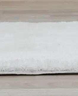 Koberce Shaggy koberec AMIDA Tempo Kondela 80x150 cm