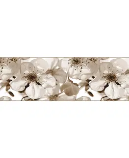 Tapety AG Art Samolepiaca bordúra Jabloňový kvet, 500 x 14 cm