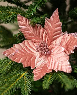 Vianočné dekorácie Kvet vianočnej ruže 22 cm, zamat, ružová