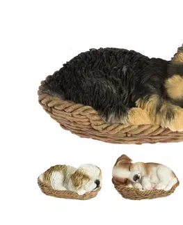 Sošky, figurky - zvieratá MAKRO - Dekorácia pes v košíku rôzne druhy
