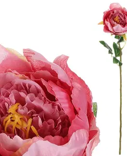 Kvety Umelá kvetina Pivonka ružová, 11 x 70 x 11 cm
