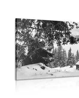 Čiernobiele obrazy Obraz drevený domček pri zasnežených boroviciach v čiernobielom prevedení
