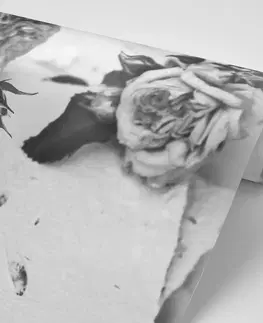 Samolepiace tapety Samolepiaca fototapeta čiernobiele ruže v rozkvete