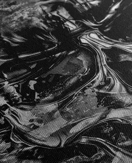 Čiernobiele obrazy Obraz umelecká lebka v čiernobielom prevedení