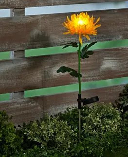 Vonkajšie osvetlenie Solárna chryzantéma, žltá