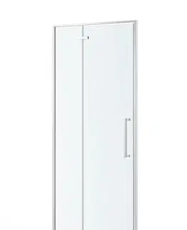 Sprchovacie dvere; priečky Sprchové dvere ETNA 100X195  CHROM