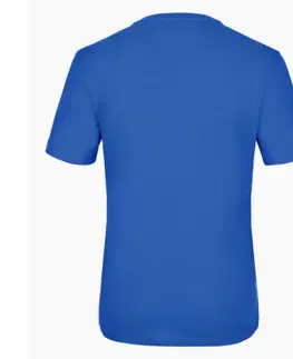 Pánská trička Pánske tričko Salewa Puez Hemp Pocket 28327-8620 electric M
