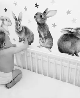 Nálepky na stenu Nálepky na stenu - Zajačiky do detskej izby