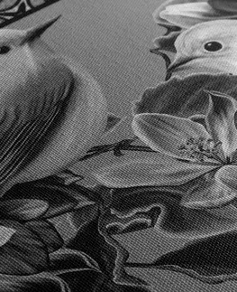 Čiernobiele obrazy Obraz čiernobiele vtáčiky a kvety vo vintage prevedení