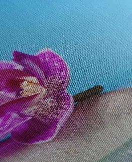 Obrazy Feng Shui Obraz orchidea a Zen kamene