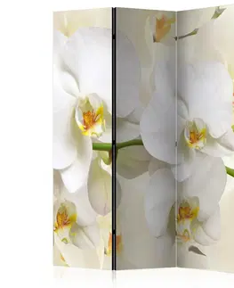 Paravány Paraván Orchid Branch Dekorhome 135x172 cm (3-dielny)