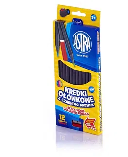 Hračky ASTRA - Ergonomické farbičky z čierneho dreva 12ks + strúhadlo, 312114001