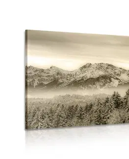 Čiernobiele obrazy Obraz zamrznuté hory v sépiovom prevedení