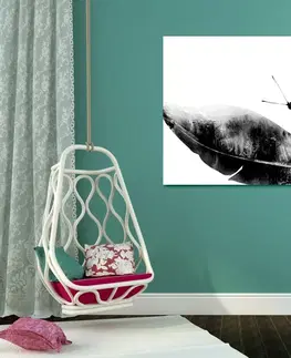 Čiernobiele obrazy Obraz pierko s motýľom v čiernobielom prevedení