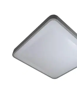 Svietidlá  LED Stropné svietidlo WILTON LED/24W/230V šedá 