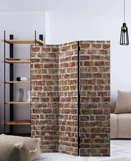 Paravány Paraván Brick Space Dekorhome 225x172 cm (5-dielny)
