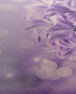 Obrazy kvetov Obraz fialový kvet orgovánu