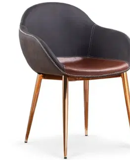 Čalúnené stoličky Stolička W144 hnedá