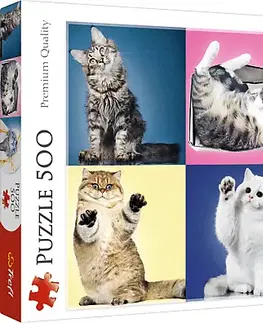 Hračky puzzle TREFL - Puzzle 500 Mačiatka